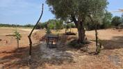 Acheter Terrain 8280 m2 ALBUFEIRA