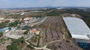 Acheter Terrain TORRES-VEDRAS rgion LISBOA