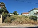 Annonce Vente Terrain ALCABIDECHE