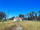 Acheter Maison 136 m2 MURTOSA