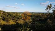 Acheter Terrain 2000 m2 TAVIRA
