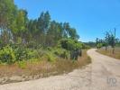 Annonce Vente Terrain LOURINHA