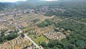 Acheter Terrain ANSIAO rgion LEIRIA
