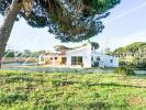Annonce Vente Maison LOULE