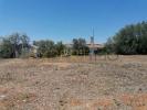 Annonce Vente Maison SAO-BRAS-DE-ALPORTEL