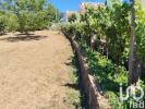 Acheter Terrain SERTA rgion CASTELO-BRANCO