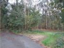 Acheter Terrain 7047 m2 OVAR