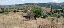 Acheter Terrain 2066 m2 BRAGANCA