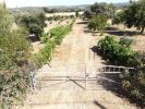Acheter Maison REDONDO rgion EVORA