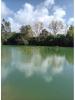 Annonce Vente Terrain ALCOBACA