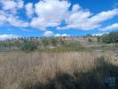Annonce Vente Terrain MOGADOURO