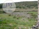 Acheter Terrain 3360 m2 VILA-DO-BISPO