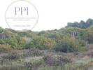 Acheter Terrain 20332 m2 VILA-DO-BISPO