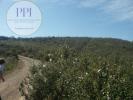 Acheter Terrain 32767 m2 LAGOS