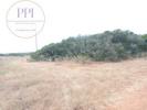 Acheter Terrain 32767 m2 VILA-DO-BISPO