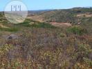 Acheter Terrain 7800 m2 VILA-DO-BISPO