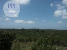 Acheter Terrain 32767 m2 VILA-DO-BISPO