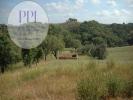 Acheter Terrain 3748 m2 LUZIANES-GARE
