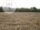 Acheter Terrain 3280 m2 VILA-DO-BISPO
