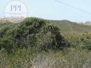 Vente Maison VILA-DO-BISPO 8650