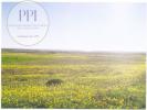 Annonce Vente Terrain VILA-DO-BISPO