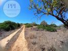Annonce Vente Terrain VILA-DO-BISPO