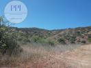 Acheter Terrain 2920 m2 VILA-DO-BISPO
