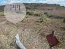 Acheter Terrain 3400 m2 VILA-DO-BISPO