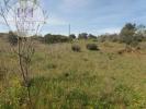 Acheter Terrain 10800 m2 LAGOS