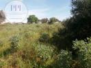 Acheter Terrain LAGOS rgion FARO