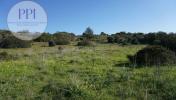 Annonce Vente Terrain VILA-DO-BISPO