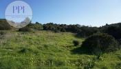 Acheter Terrain 3320 m2 VILA-DO-BISPO