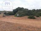 Annonce Vente Terrain VILA-DO-BISPO