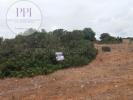 Acheter Terrain 3440 m2 VILA-DO-BISPO
