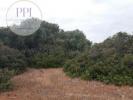 Acheter Terrain VILA-DO-BISPO rgion FARO