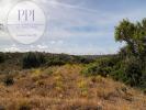 Acheter Terrain 32767 m2 VILA-DO-BISPO