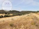 Annonce Vente Terrain VILA-DO-BISPO