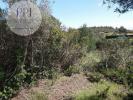 Acheter Terrain 4440 m2 VILA-DO-BISPO