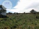 Acheter Terrain 9040 m2 VILA-DO-BISPO