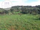 Acheter Terrain 9040 m2 VILA-DO-BISPO