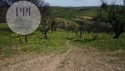 Vente Terrain VILA-DO-BISPO 8650