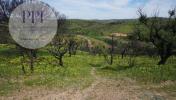 Annonce Vente Terrain VILA-DO-BISPO