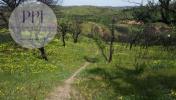 Acheter Terrain 11400 m2 VILA-DO-BISPO