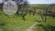 Acheter Terrain VILA-DO-BISPO rgion FARO