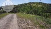 Acheter Terrain 32767 m2 VILA-DO-BISPO