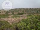 Acheter Terrain 5488 m2 VILA-DO-BISPO