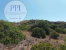Annonce Vente Terrain VILA-DO-BISPO