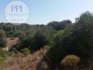 Acheter Terrain 5080 m2 VILA-DO-BISPO