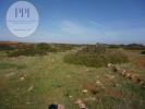 Acheter Terrain 3080 m2 VILA-DO-BISPO