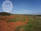 Acheter Terrain VILA-DO-BISPO rgion FARO